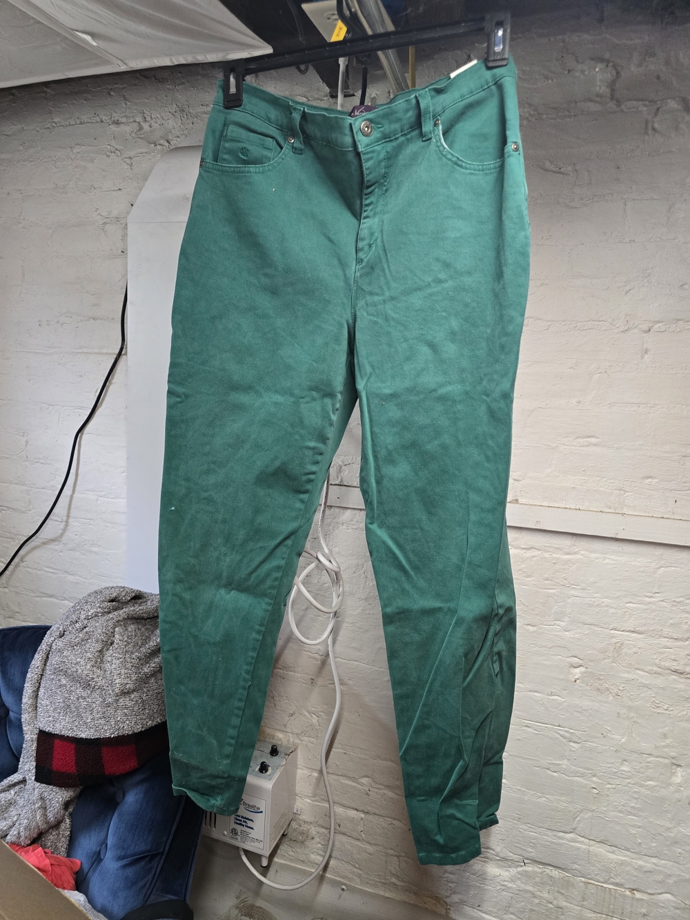 Gloria Vanderbilt Straight Leg Pants in Green